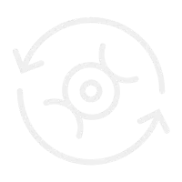 Nerven funktion