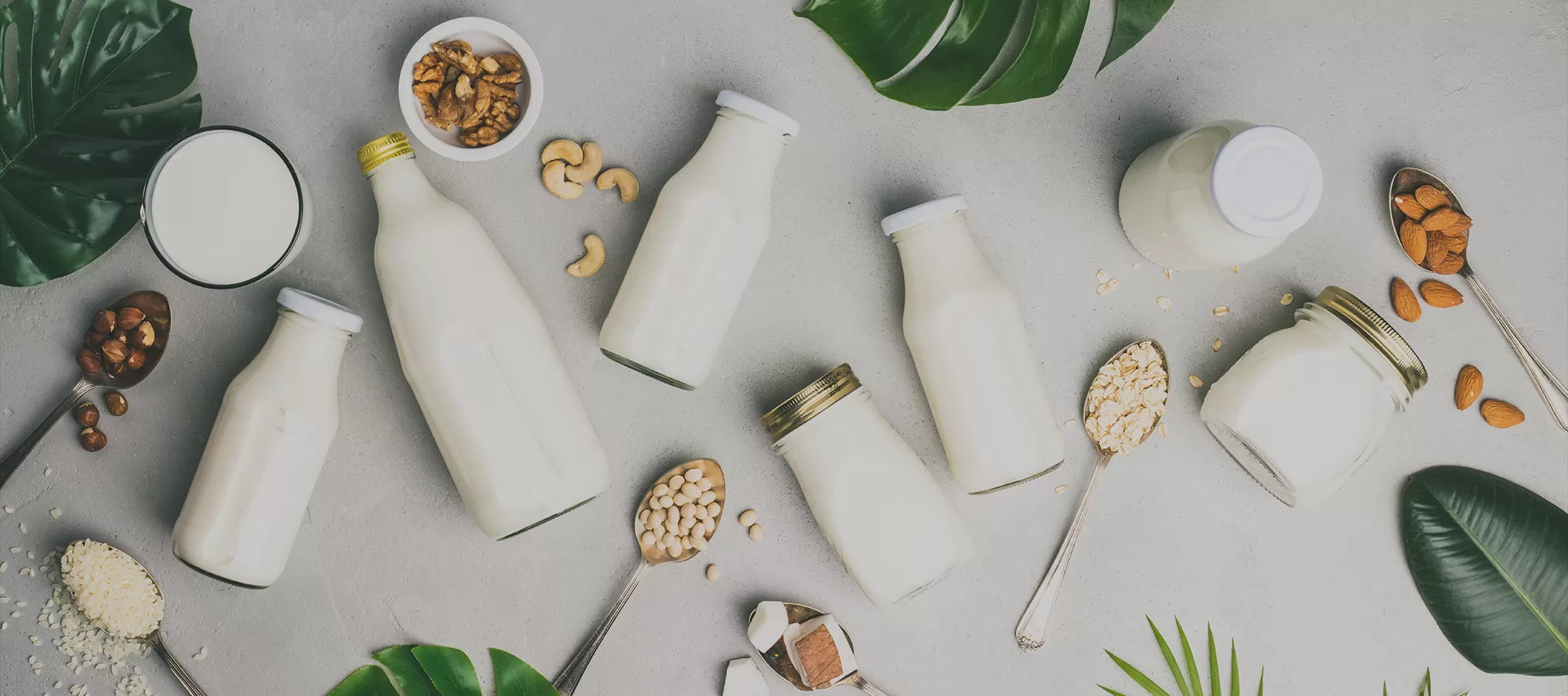 Richen Nährstoff zutaten für Milch und Milch produkte