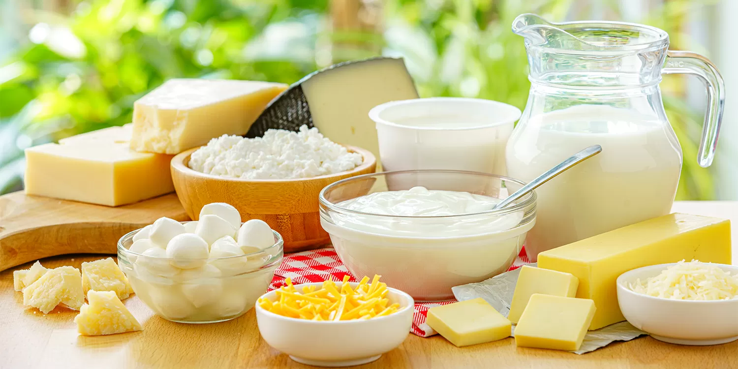 Milch und Milch produkte