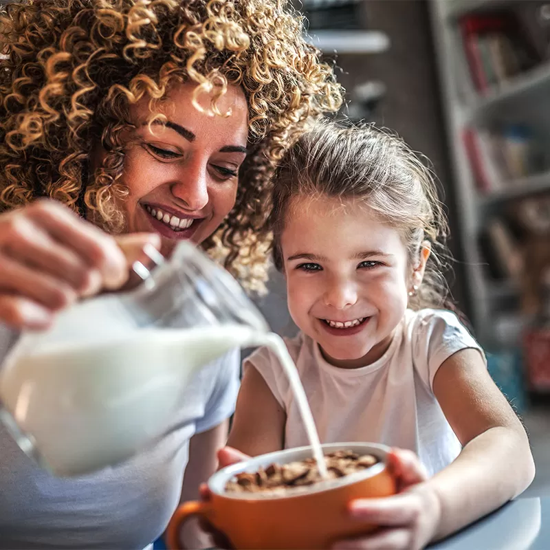 Milch und Milch produkte