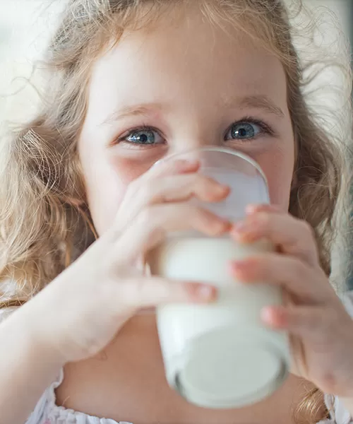 Milch produkte